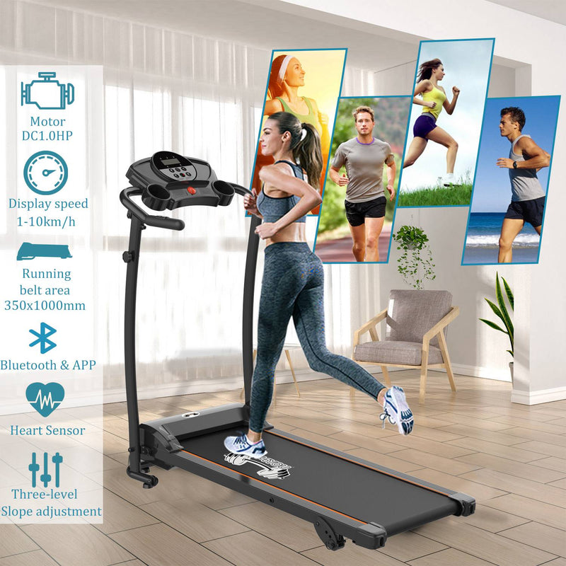 The Fitness Collection
