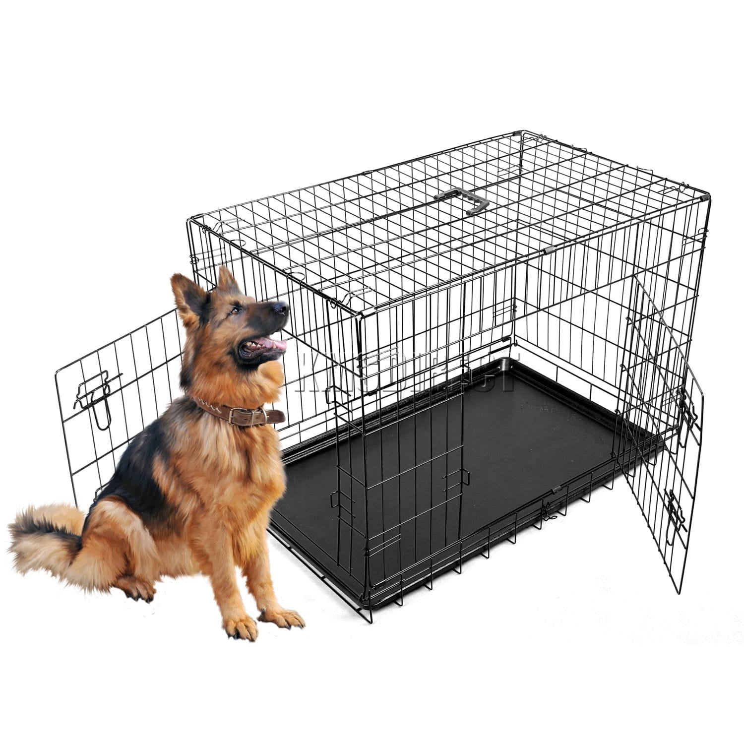 The Indoor Pet Collection