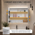 WestWood Bathroom Mirror Cabinet BC11
