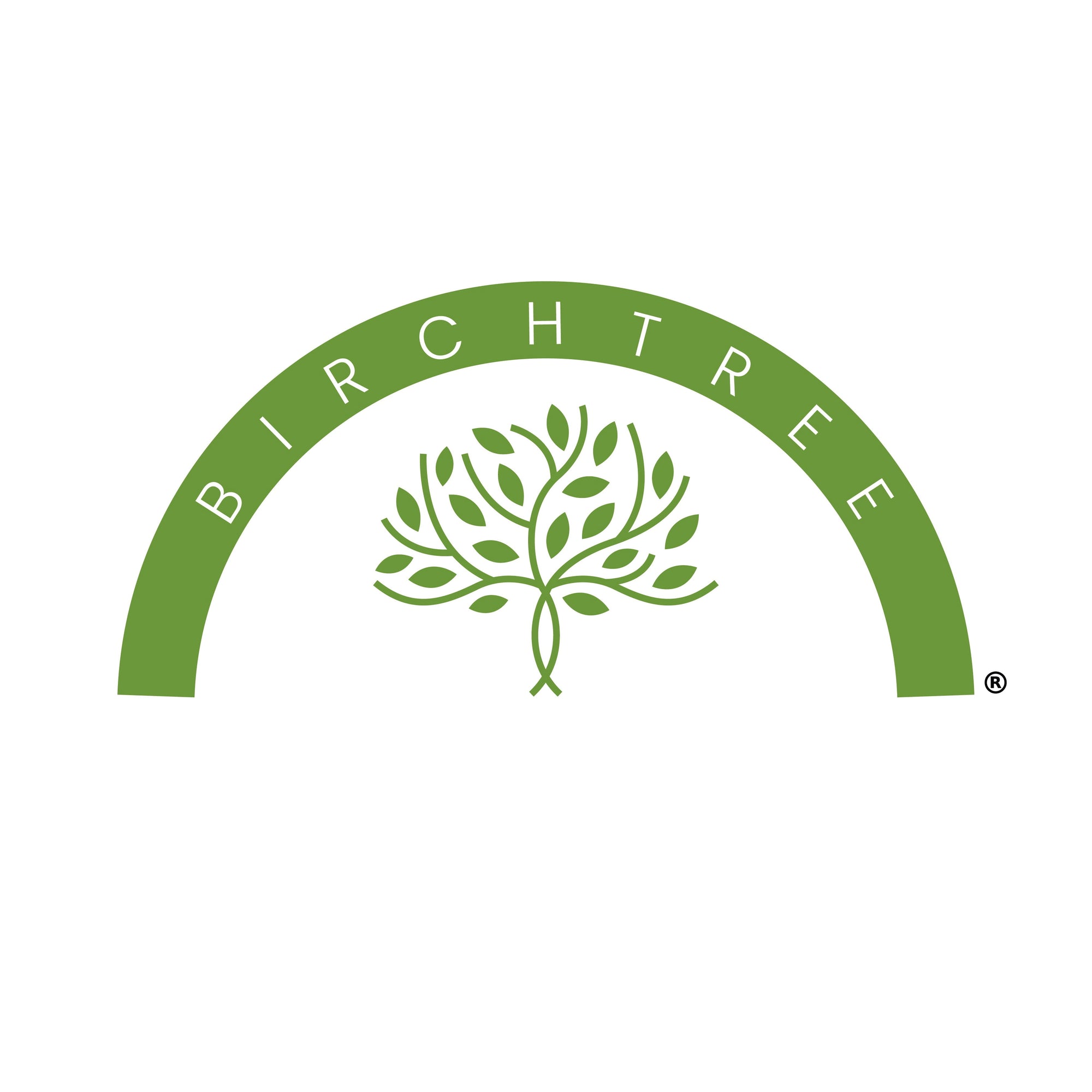 Birchtree logo with green arch and tree design on a white background