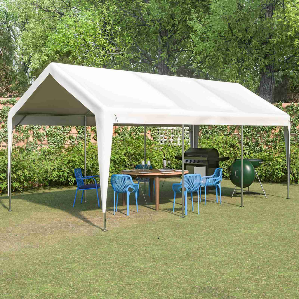 BIRCHTREE Carport 10x20ft PE Shed Sidewalls and Windows