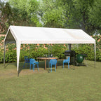 BIRCHTREE Carport 10x20ft PE Shed Sidewalls and Windows