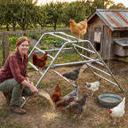 PawHaven Chicken Metal PH-MCP02 Silver
