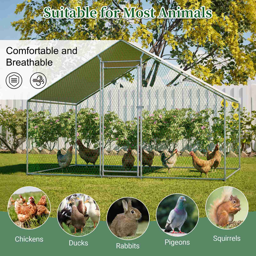 PawHaven Chicken Run Cage Walk In Coop Metal