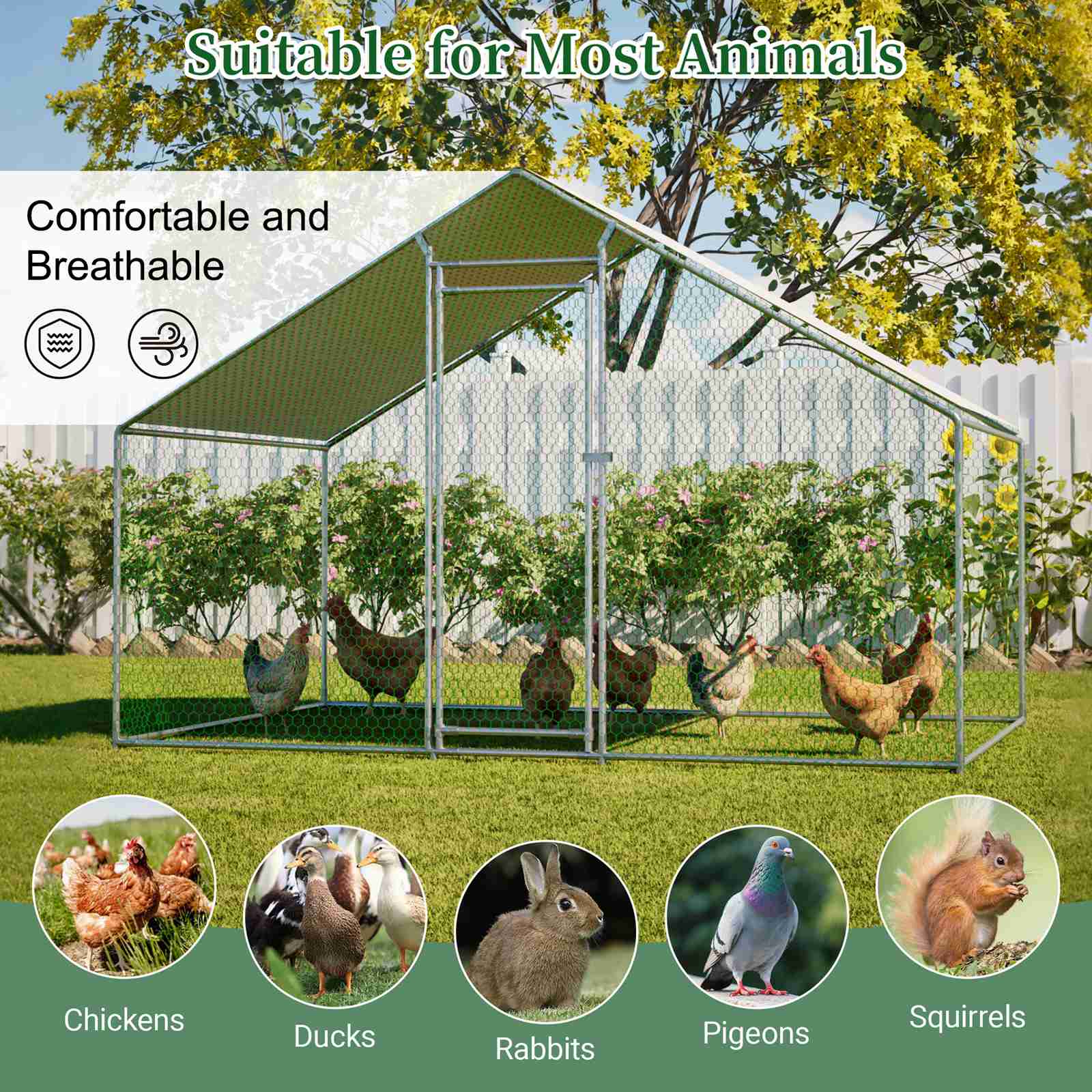 PawHaven Chicken Run Cage Walk In Coop Metal