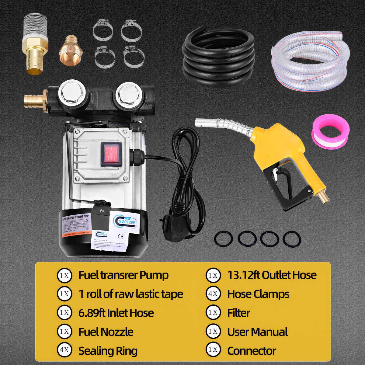 SwitZer 550W Diesel Transfer Pump Kit