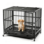 PawHaven Heavy Duty Metal Dog Crate