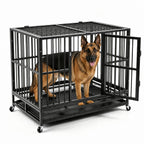 PawHaven Heavy Duty Metal Dog Crate