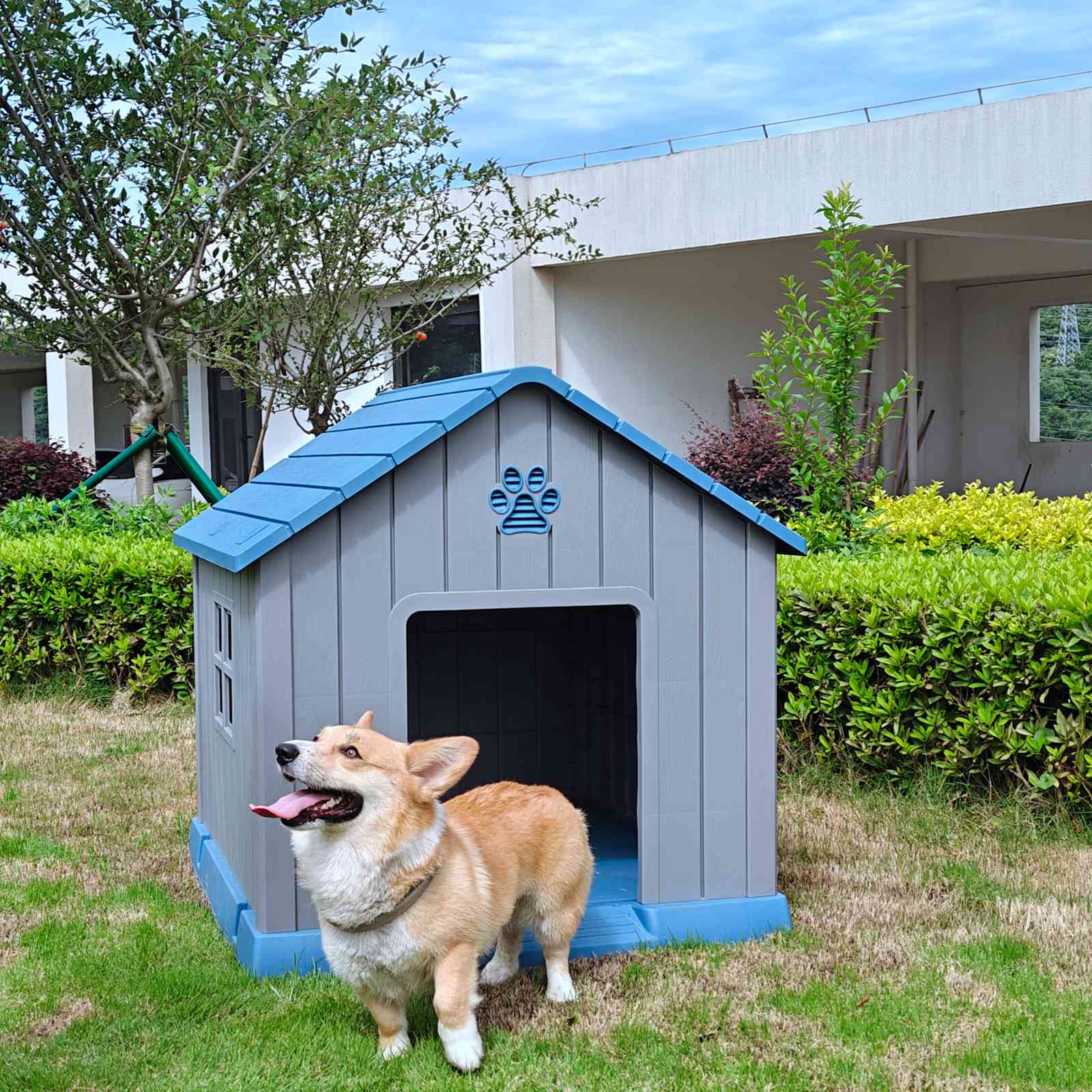PawHaven Dog House