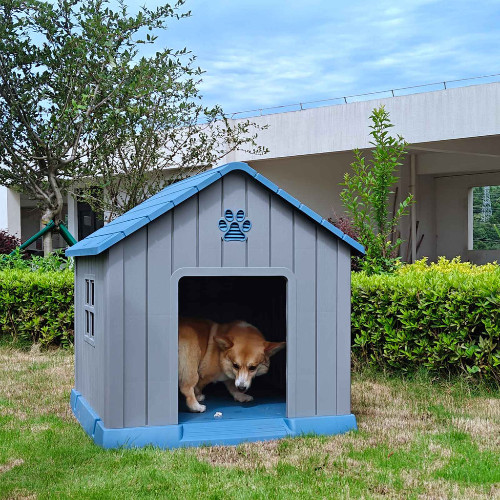 PawHaven Dog House
