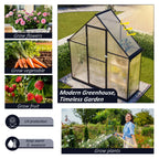 BIRCHTREE Garden Polycarbonate Greenhouse Walk-In Aluminium Frame