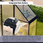 BIRCHTREE Garden Polycarbonate Greenhouse Walk-In Aluminium Frame