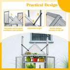 BIRCHTREE Greenhouse Wooden Frame G01 Grey