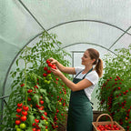 BIRCHTREE Polytunnel Fully Galvanised Frame Greenhouse Poly Tunnel