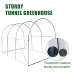 BIRCHTREE Polytunnel Fully Galvanised Frame Greenhouse Poly Tunnel