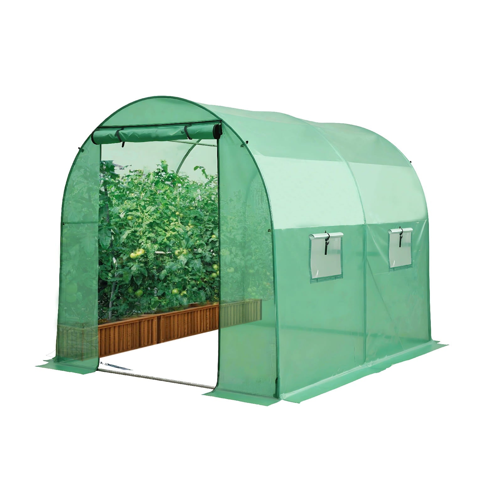 Image of 2-section small greenhouse with plants inside on a white background.