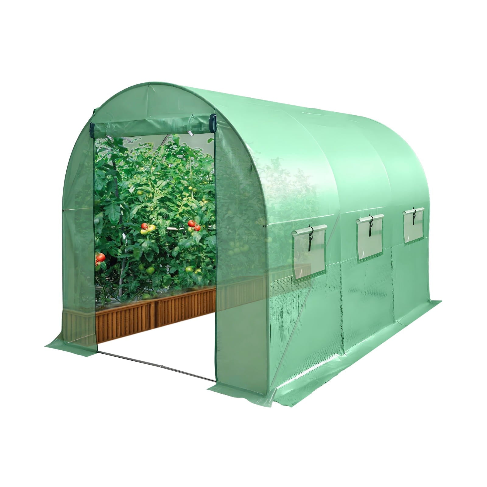 Green walk-in greenhouse with plants inside on a white background