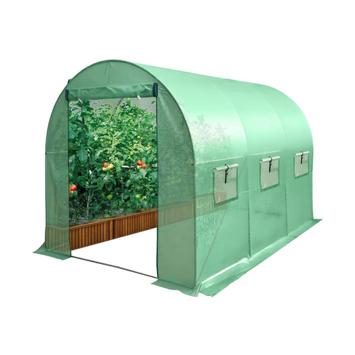 Green walk-in greenhouse with plants inside on a white background