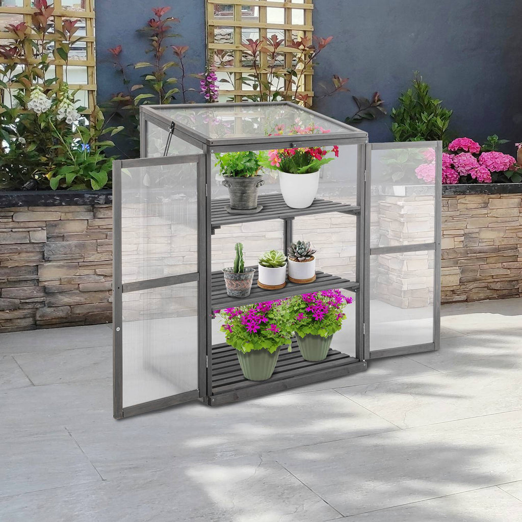 Portable wooden greenhouse with plants inside on a patio